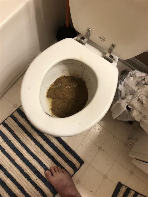 POV: You Are The Toilet (Toilet Scat Compilation)